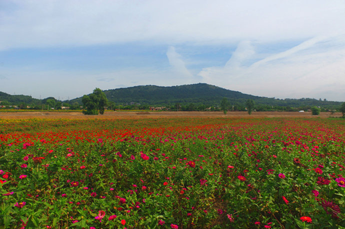 1765099631754403.jpg 64.jpg